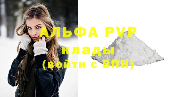 Альфа ПВП Магадан