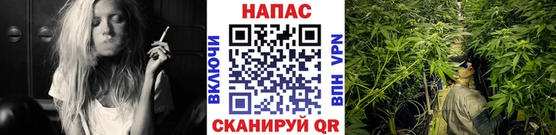 Марихуана OG Kush  Алагир 